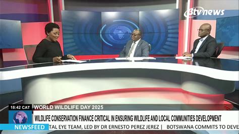 bwgovernment|bwgovernment live.